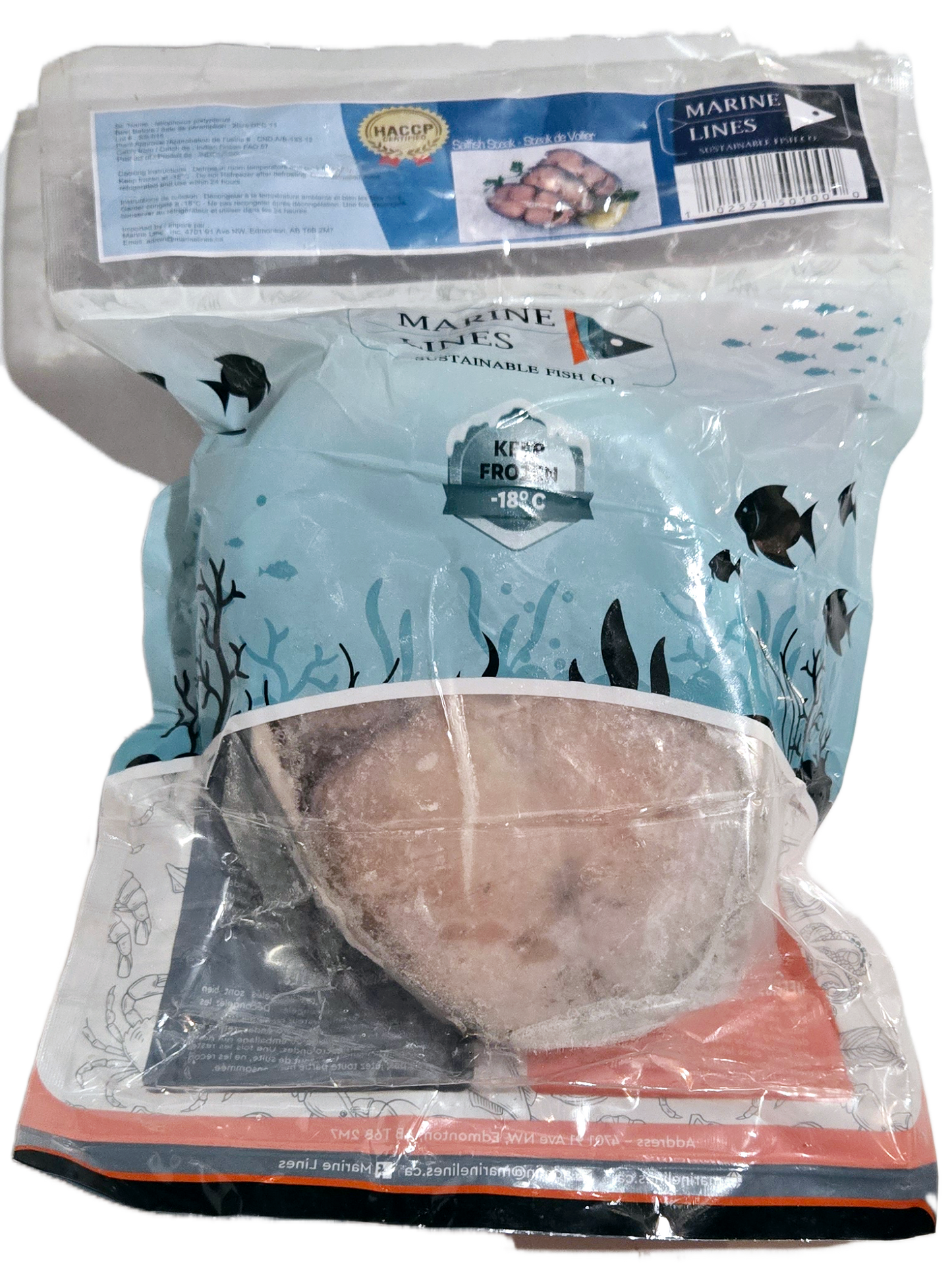 Sailfish Steak 1.5 LB Marine Line ഓലക്കൊടിയൻ