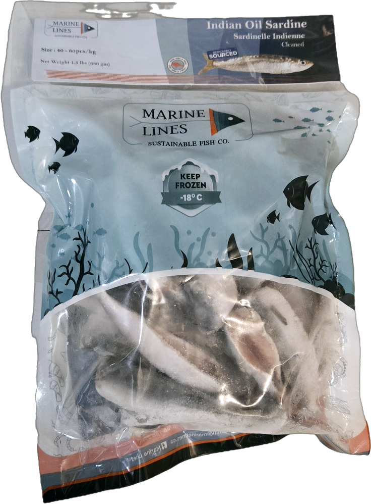 Sardine മത്തി/ചാള 1.5 LB Marine Lines