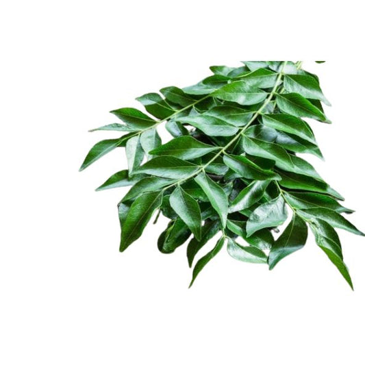 Curry Leaf Packed