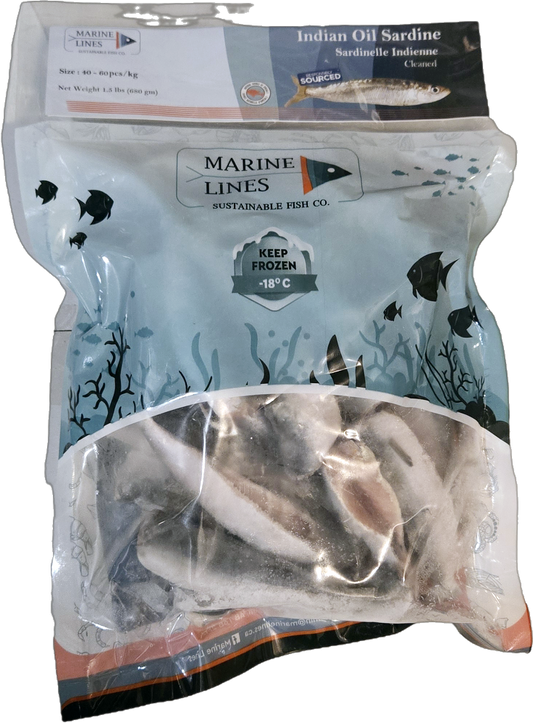 Sardine മത്തി/ചാള 1.5 LB Marine Lines